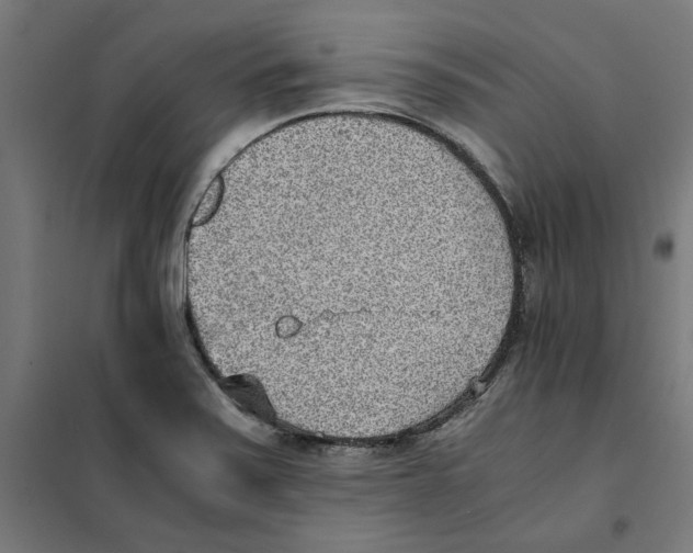 X0000101681371200808071059