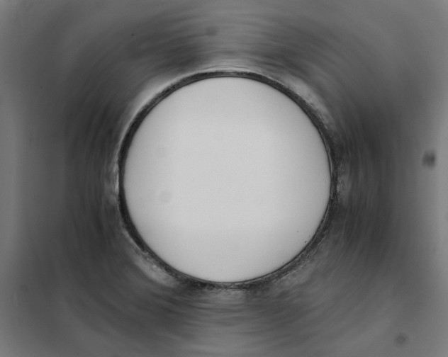 X0000101681372200808071059