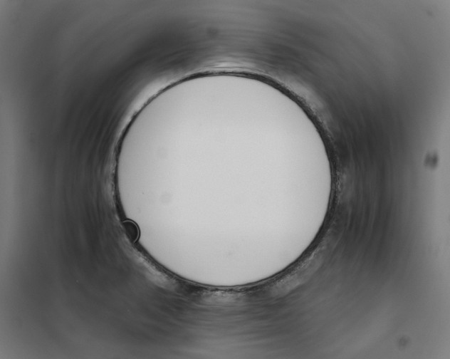 X0000101681374200808071058