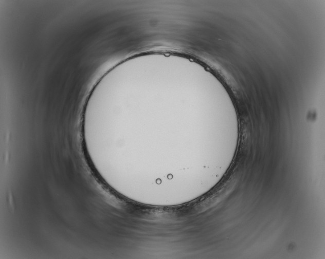 X0000101681375200808071058