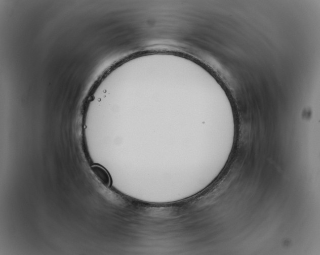 X0000101681376200808071058