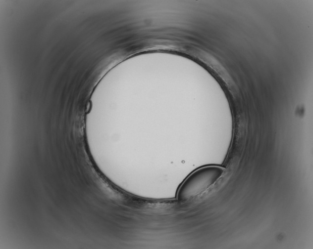 X0000101681377200808071058