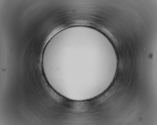 X0000101681378200808071058