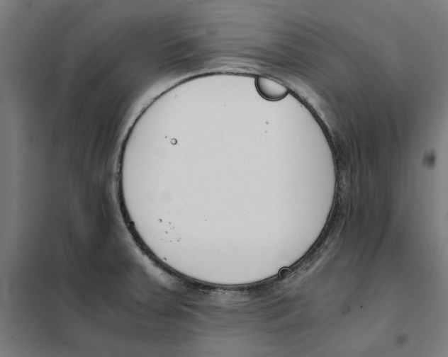 X0000101681379200808071058