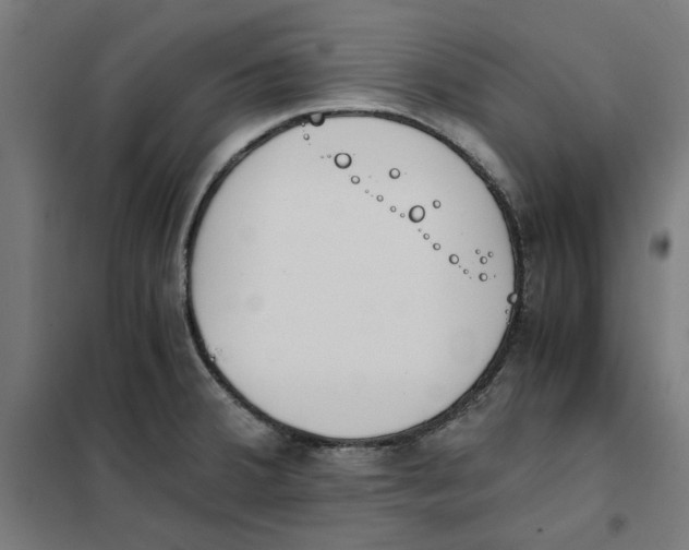 X0000101681380200808071058