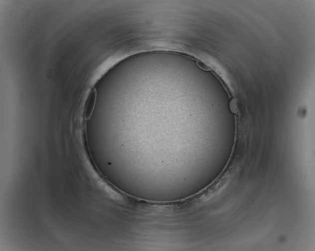 X0000101681381200808071058