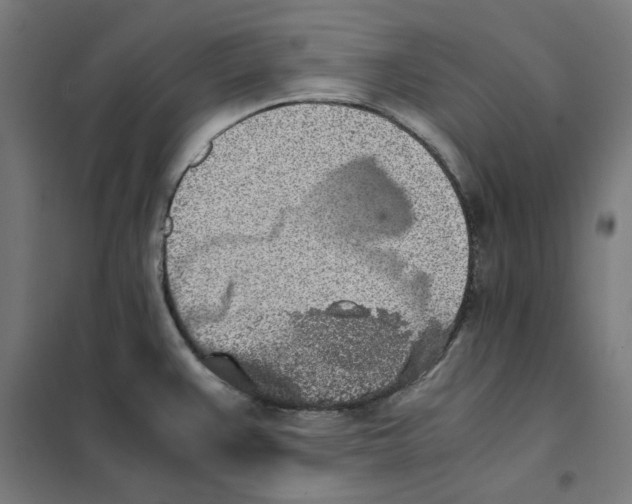 X0000101681383200808071058