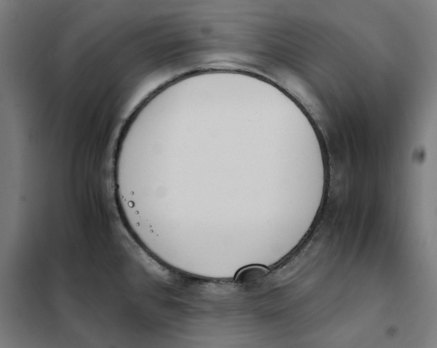 X0000101681384200808071058