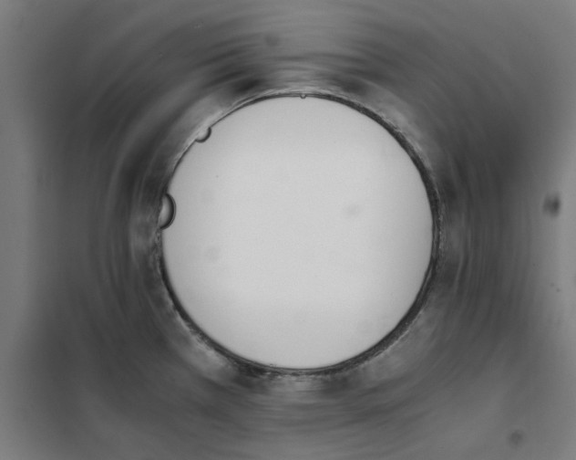 X0000101681385200808071058