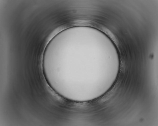 X0000101681386200808071058