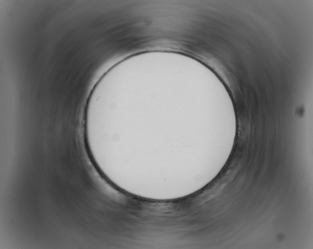 X0000101681387200808071058