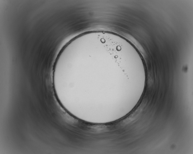 X0000101681388200808071058