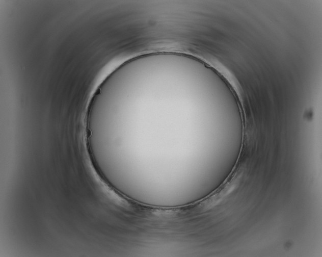 X0000101681389200808071058