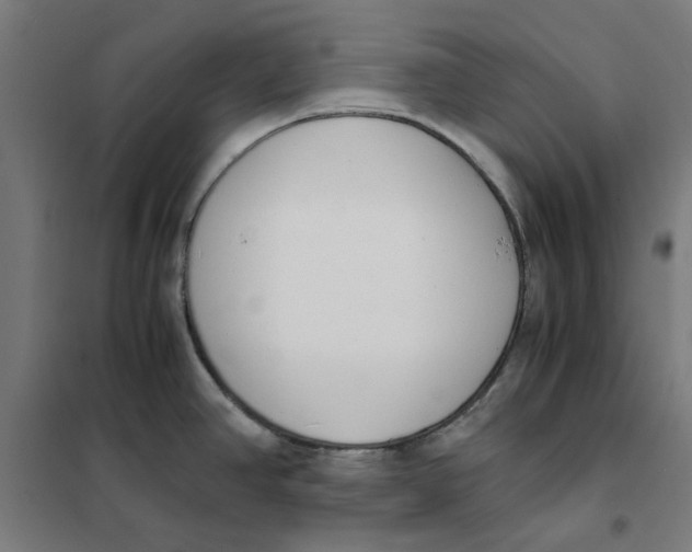 X0000101681390200808071058