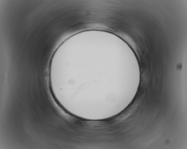 X0000101681391200808071058