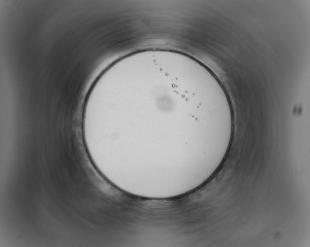 X0000101681392200808071058