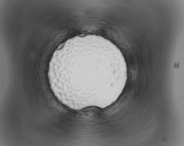 X0000101681393200808071058