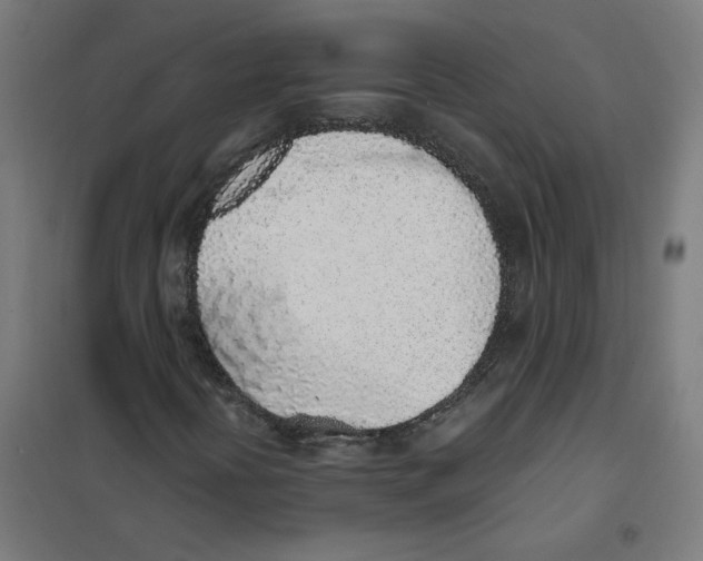 X0000101681394200808071058