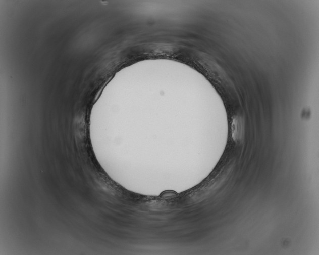 X0000101681395200808071058