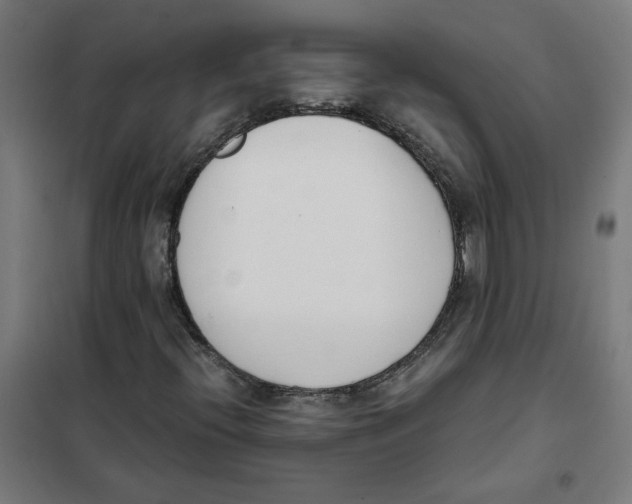 X0000101681396200808071058