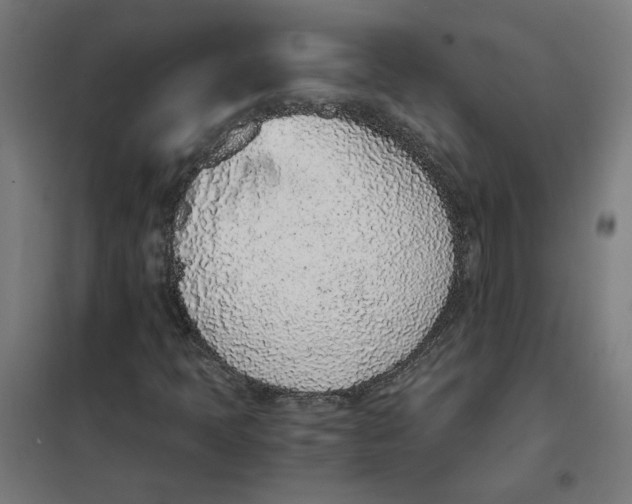 X0000101681397200808071058