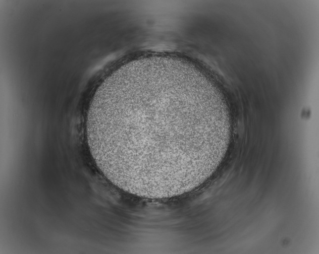 X0000101681398200808071058