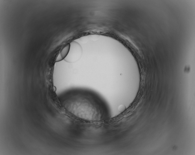 X0000101681399200808071058