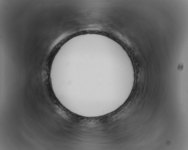 X0000101681400200808071058