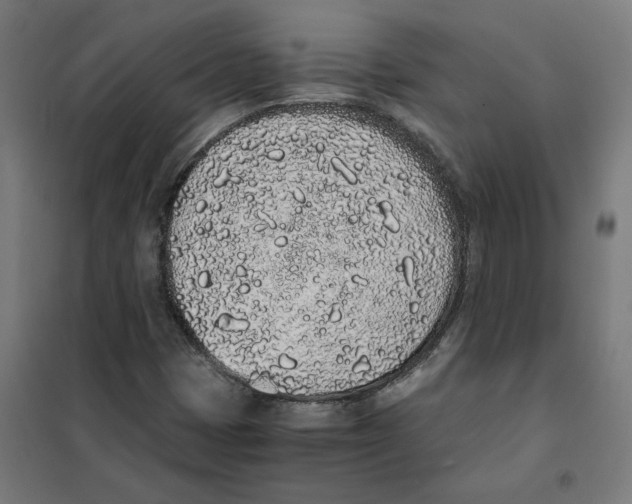 X0000101681401200808071058