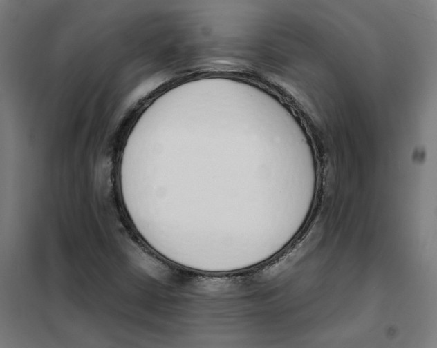 X0000101681402200808071058