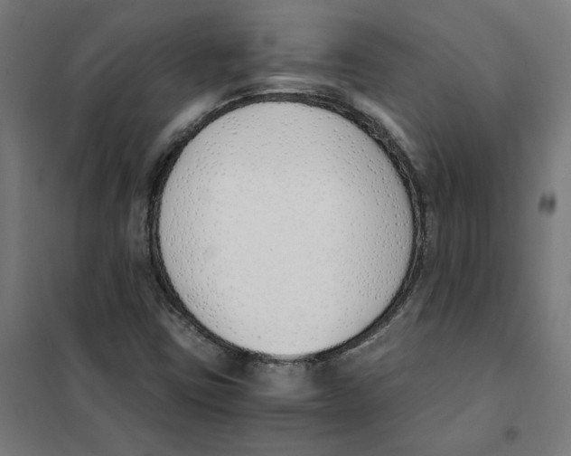 X0000101681403200808071058