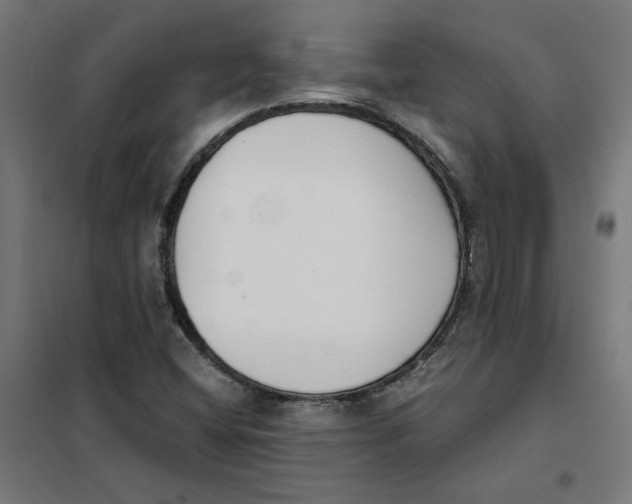 X0000101681404200808071058