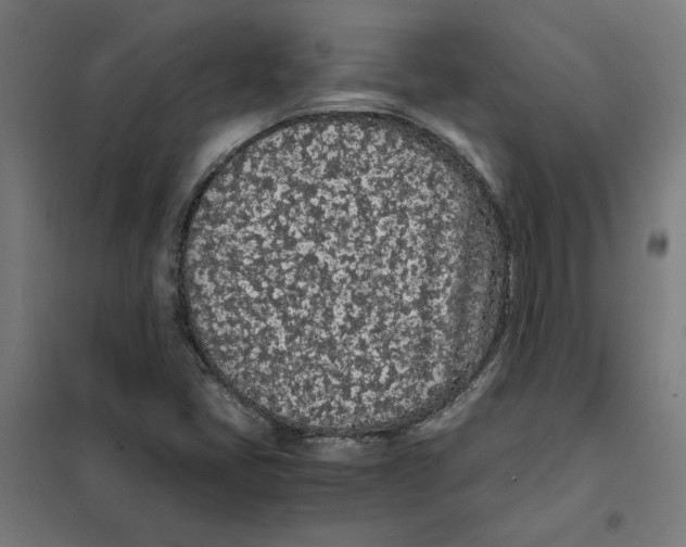 X0000101681405200808071058