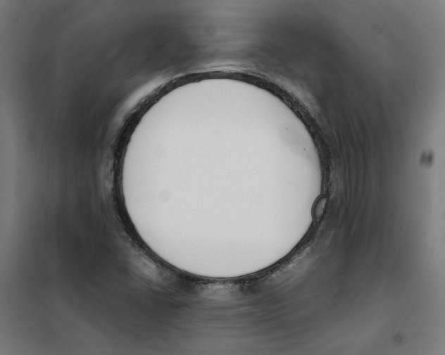 X0000101681406200808071058