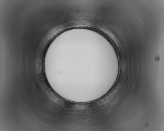 X0000101681407200808071058