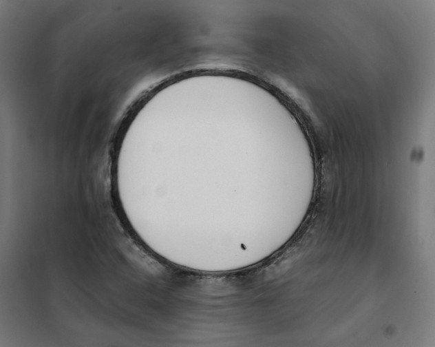 X0000101681408200808071058