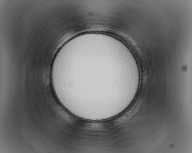 X0000101681409200808071058