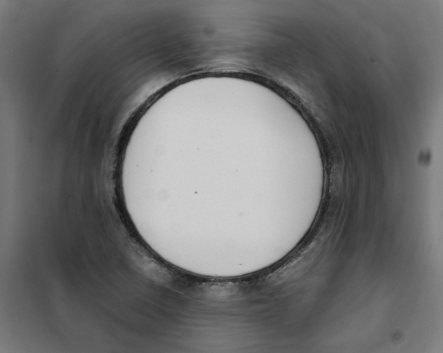 X0000101681410200808071058