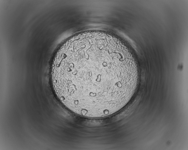 X0000101681411200808071058