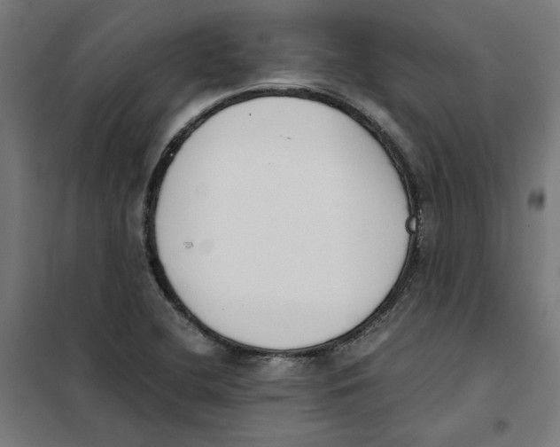 X0000101681412200808071058