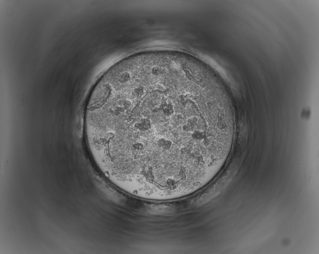 X0000101681413200808071058