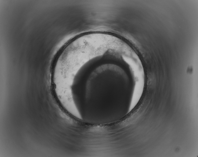 X0000101681414200808071058