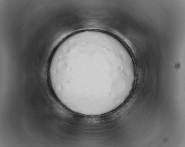 X0000101681415200808071058