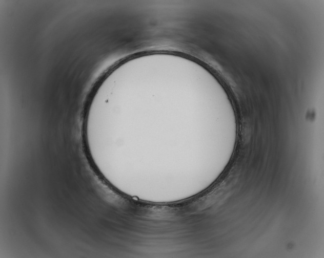 X0000101681416200808071058