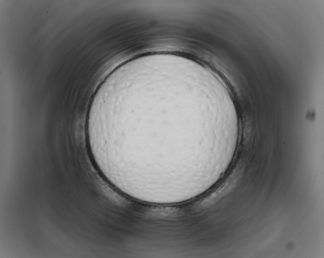 X0000101681417200808071058