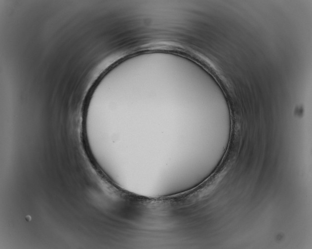 X0000101681418200808071058