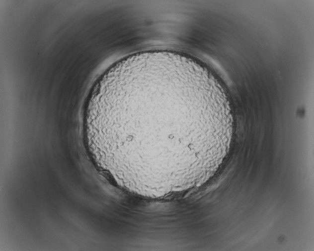 X0000101681419200808071058