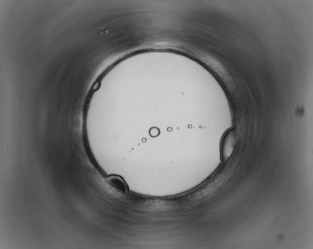 X0000101681420200808071058