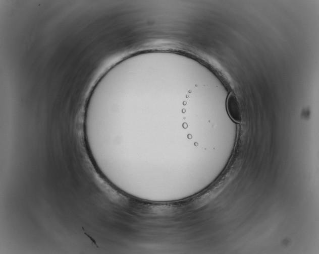 X0000101681421200808071058