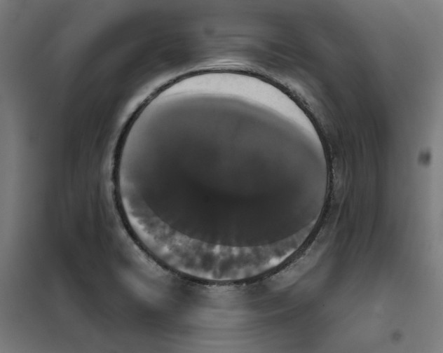 X0000101681422200808071058